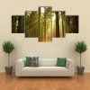 A Beautiful Forest At Dusk - Nature 5 Panel Canvas Art Wall Decor