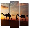 Desert Camel Landscape - Nature 5 Panel Canvas Art Wall Decor