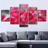 Red Flowers 3 - Nature 5 Panel Canvas Art Wall Decor
