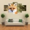 Red Fox Vulpes Sitting Up At Attention - Animal 5 Panel Canvas Art Wall Decor
